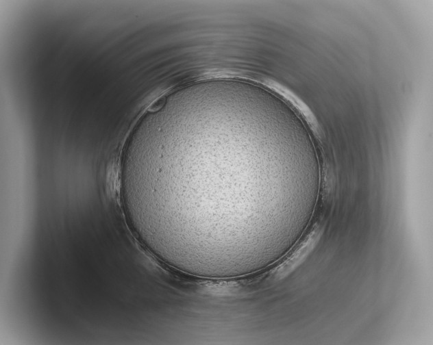 X0000101390809200807211012