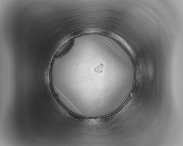 X0000101390810200807211012