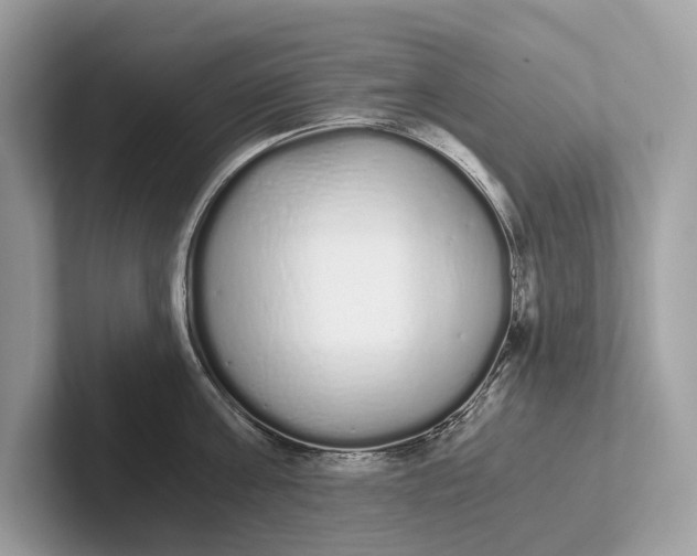 X0000101390811200807211012