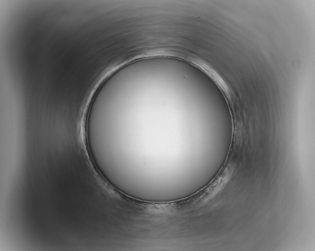 X0000101390813200807211012