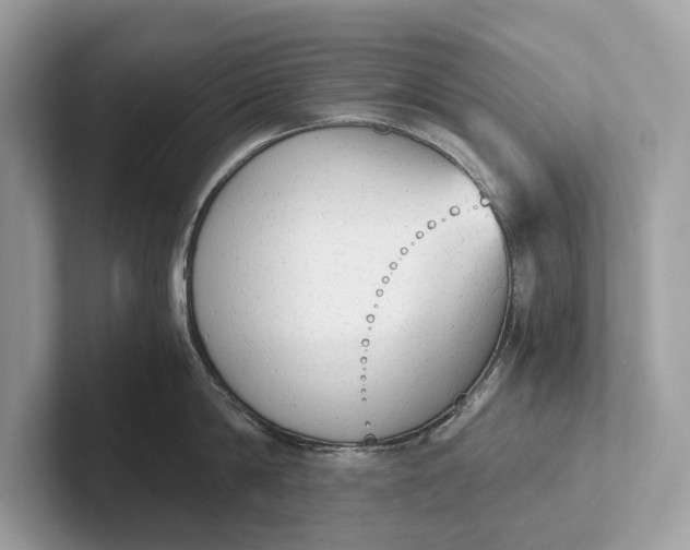 X0000101390814200807211012