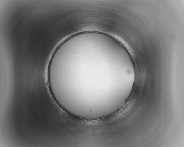 X0000101390815200807211012