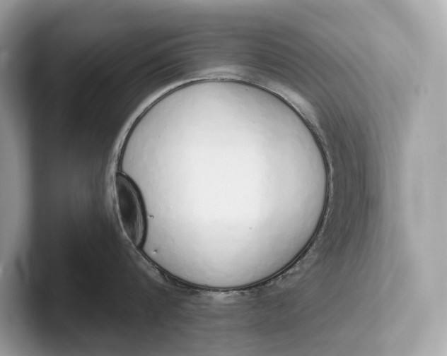 X0000101390816200807211012