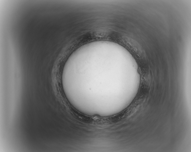 X0000101390817200807211011