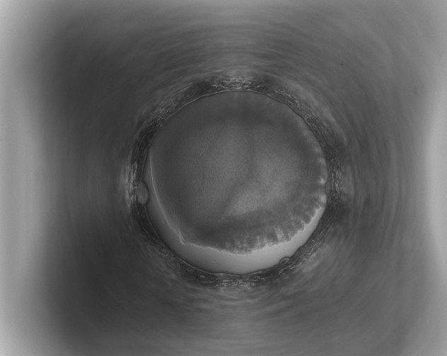 X0000101390818200807211011