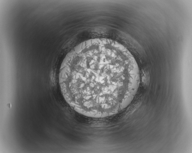 X0000101390819200807211011