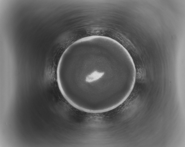 X0000101390820200807211011