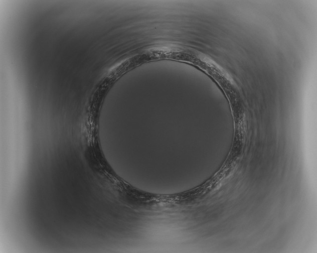 X0000101390822200807211011