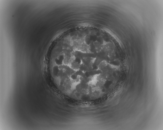 X0000101390823200807211011