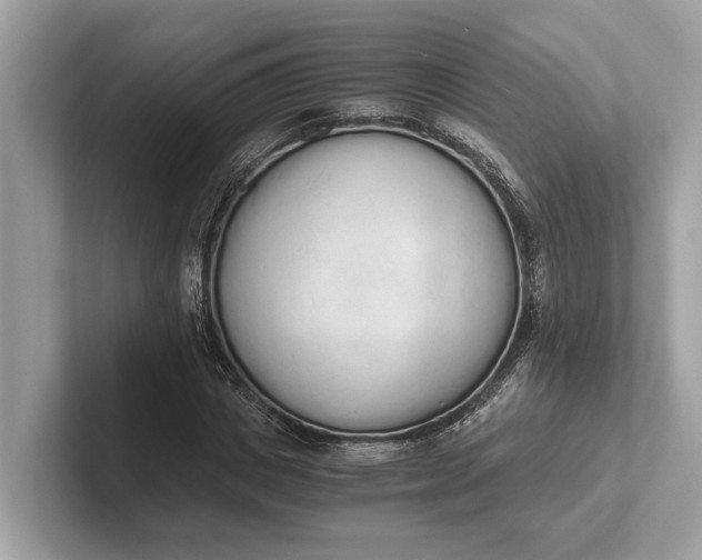 X0000101390825200807211011