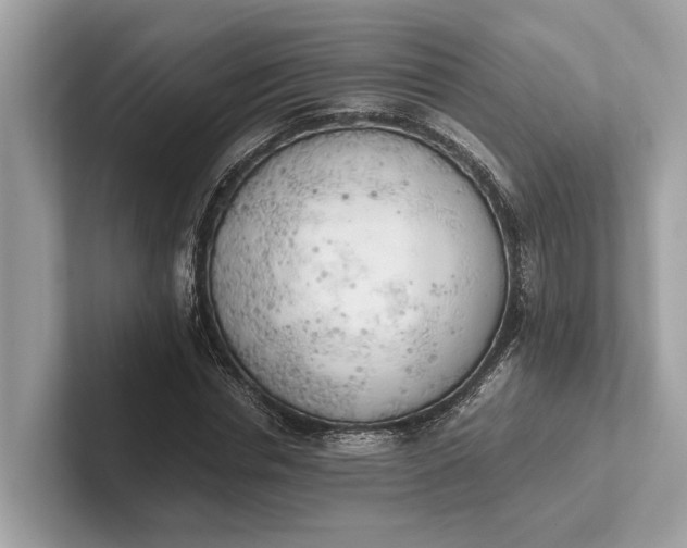 X0000101390826200807211011