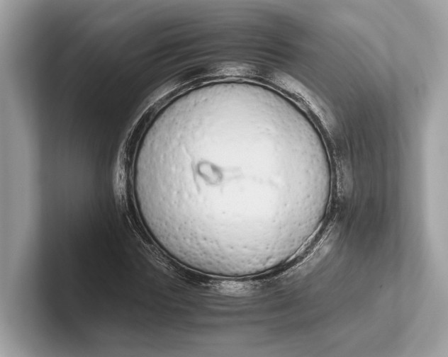 X0000101390827200807211011