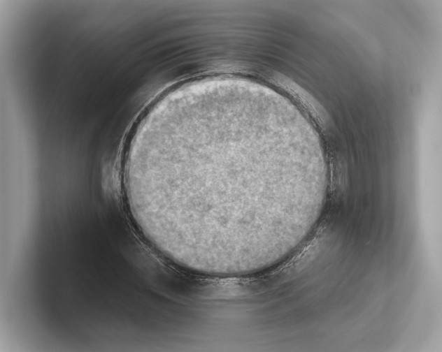 X0000101390828200807211011