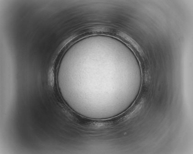 X0000101390829200807211011