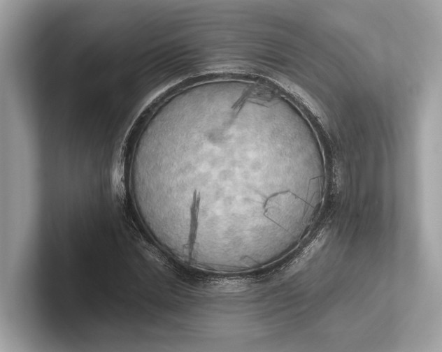 X0000101390830200807211011