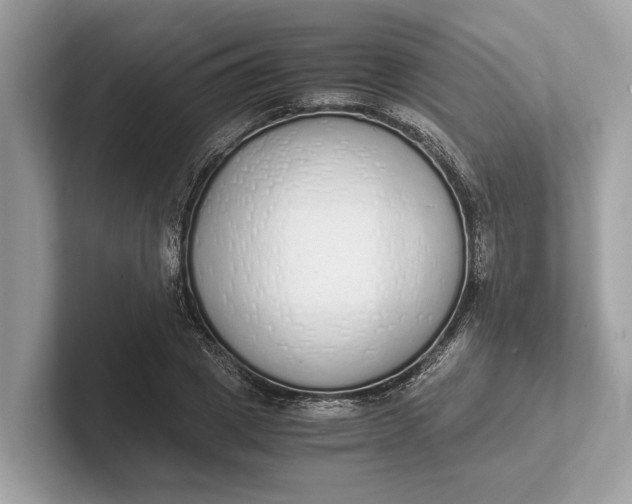 X0000101390833200807211011