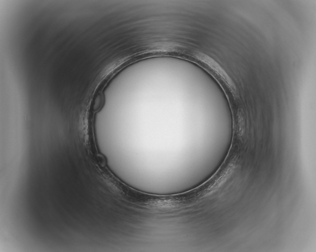 X0000101390834200807211011