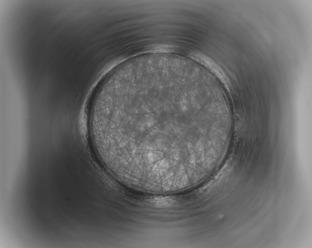 X0000101390835200807211011