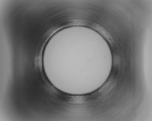 X0000101390836200807211011