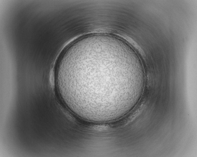 X0000101390838200807211011