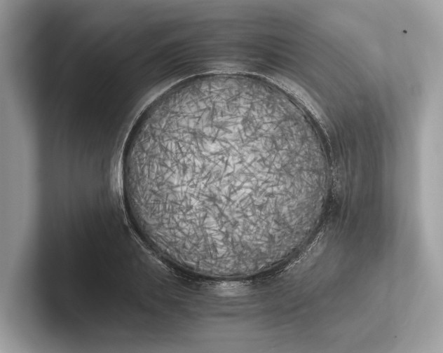 X0000101390839200807211011