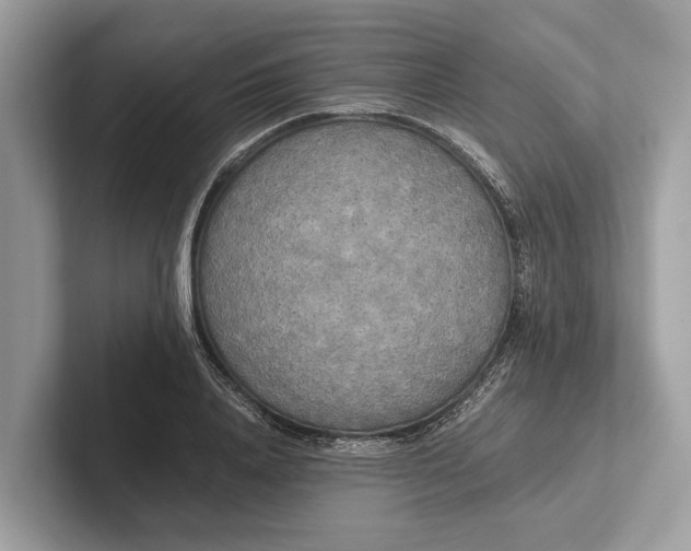 X0000101390840200807211011