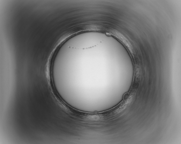 X0000101390843200807211011