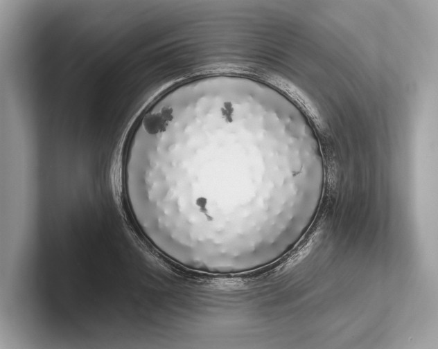 X0000101390844200807211011