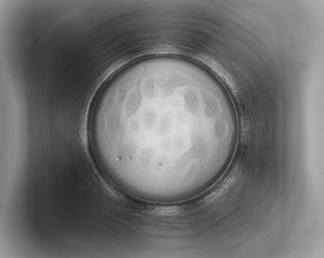 X0000101390845200807211011