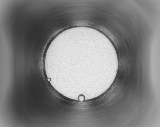 X0000101390848200807211011