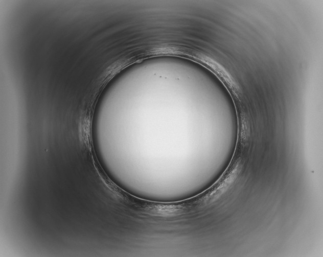 X0000101390849200807211011