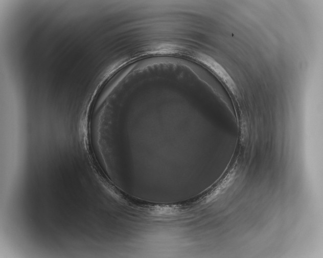 X0000101390850200807211011