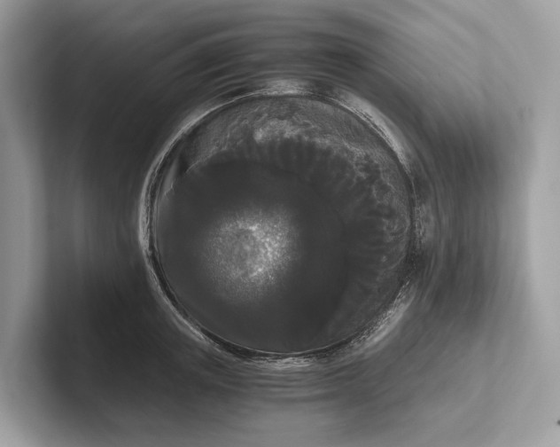 X0000101390851200807211011