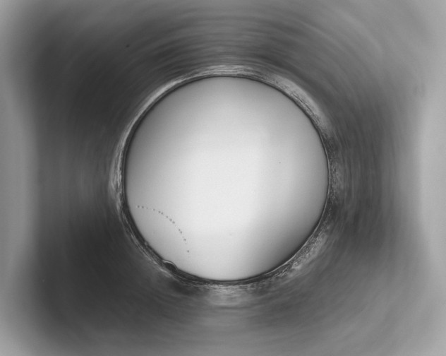 X0000101390852200807211011