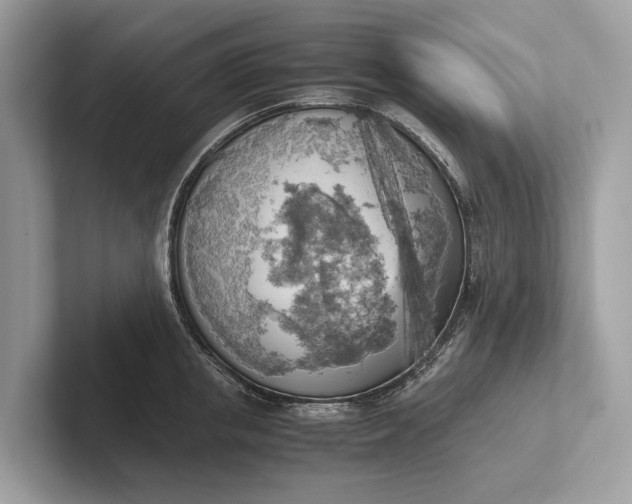 X0000101390853200807211011