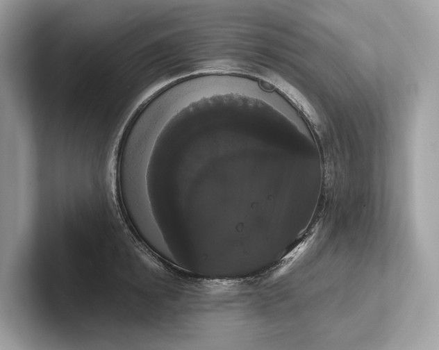 X0000101390854200807211011