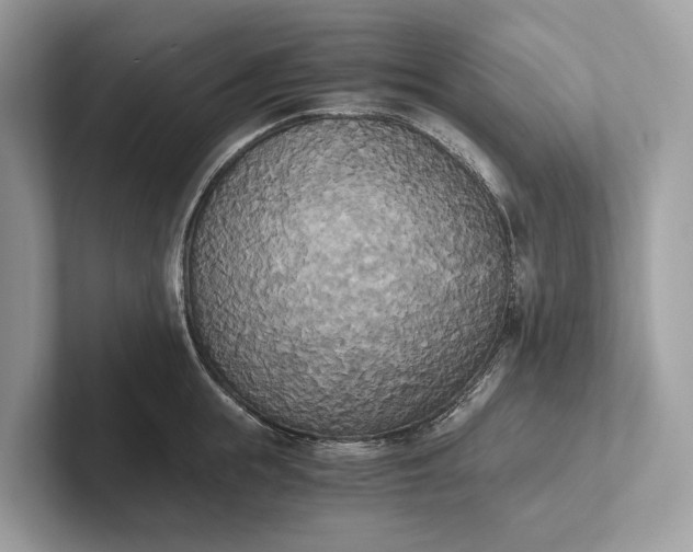 X0000101390855200807211011