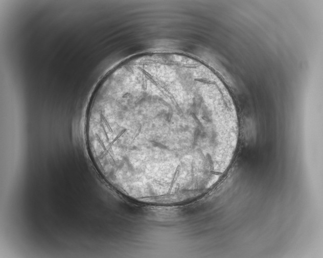 X0000101390856200807211011