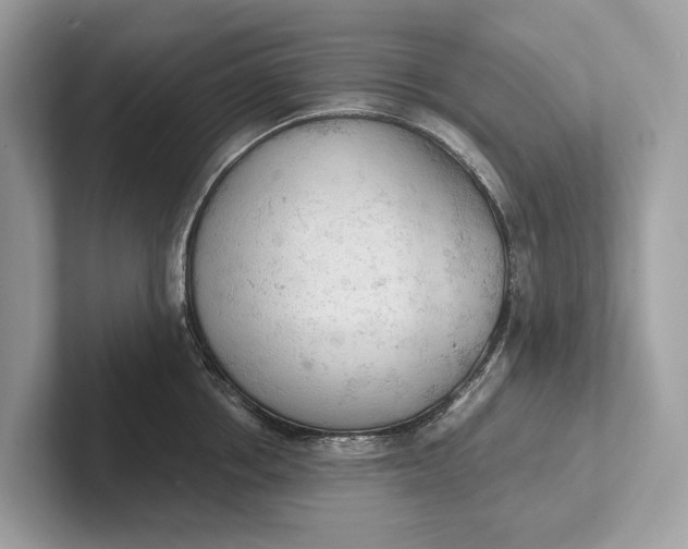 X0000101390858200807211011