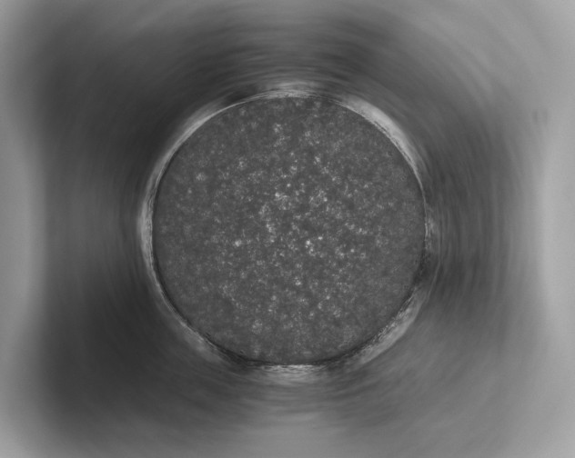 X0000101390859200807211012