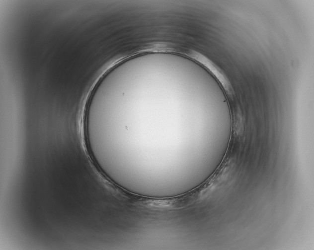 X0000101390861200807211012