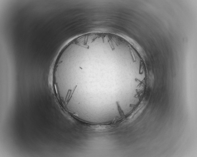 X0000101390862200807211012