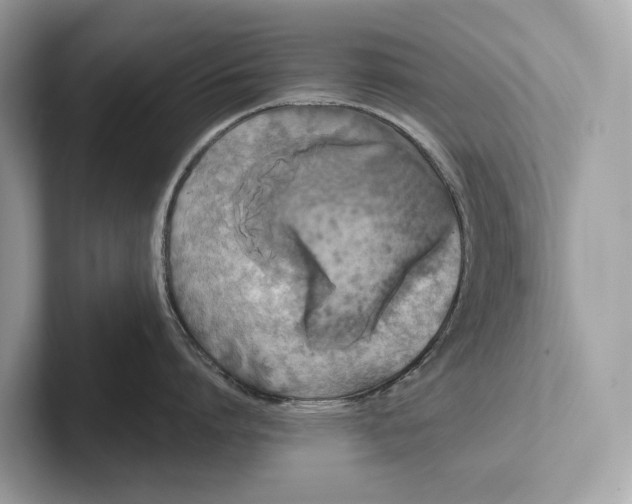 X0000101390864200807211012