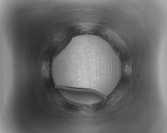 X0000101390868200807211011