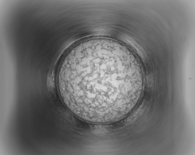 X0000101390875200807211011