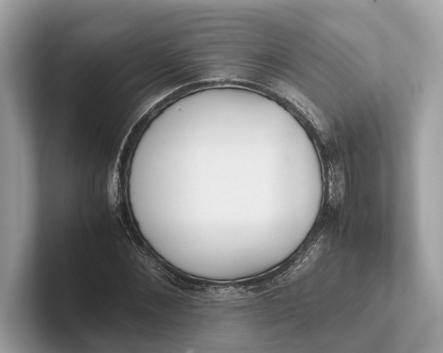 X0000101390876200807211011