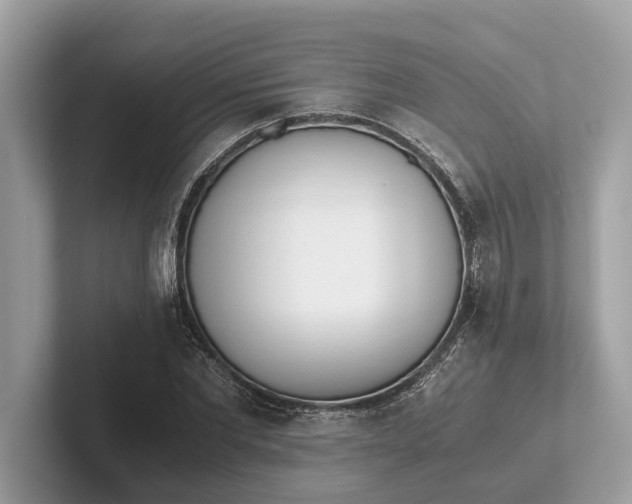 X0000101390877200807211011