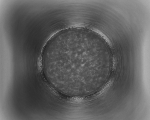 X0000101390878200807211011