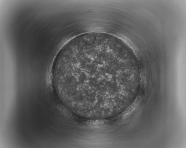 X0000101390879200807211011