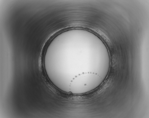 X0000101390880200807211011